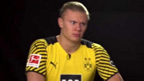 杰克-奥布赖恩：为了防范“客场盗贼”，我购买德牧保护家人